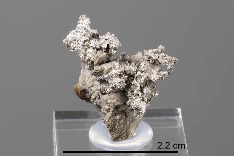 Allargentum (Ontario)